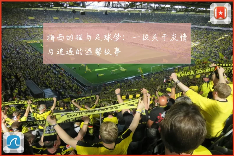 梅西的猫与足球梦：一段关于友情与追逐的温馨故事