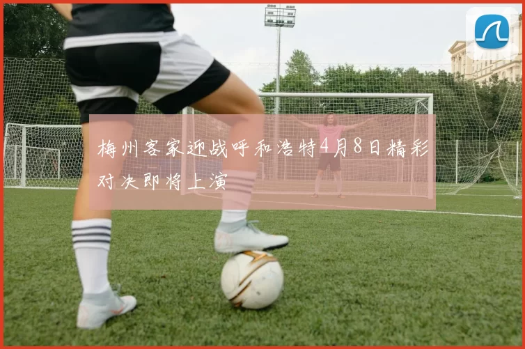 梅州客家迎战呼和浩特4月8日精彩对决即将上演